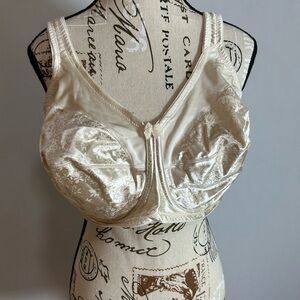 Elegant Cream Lace Bra